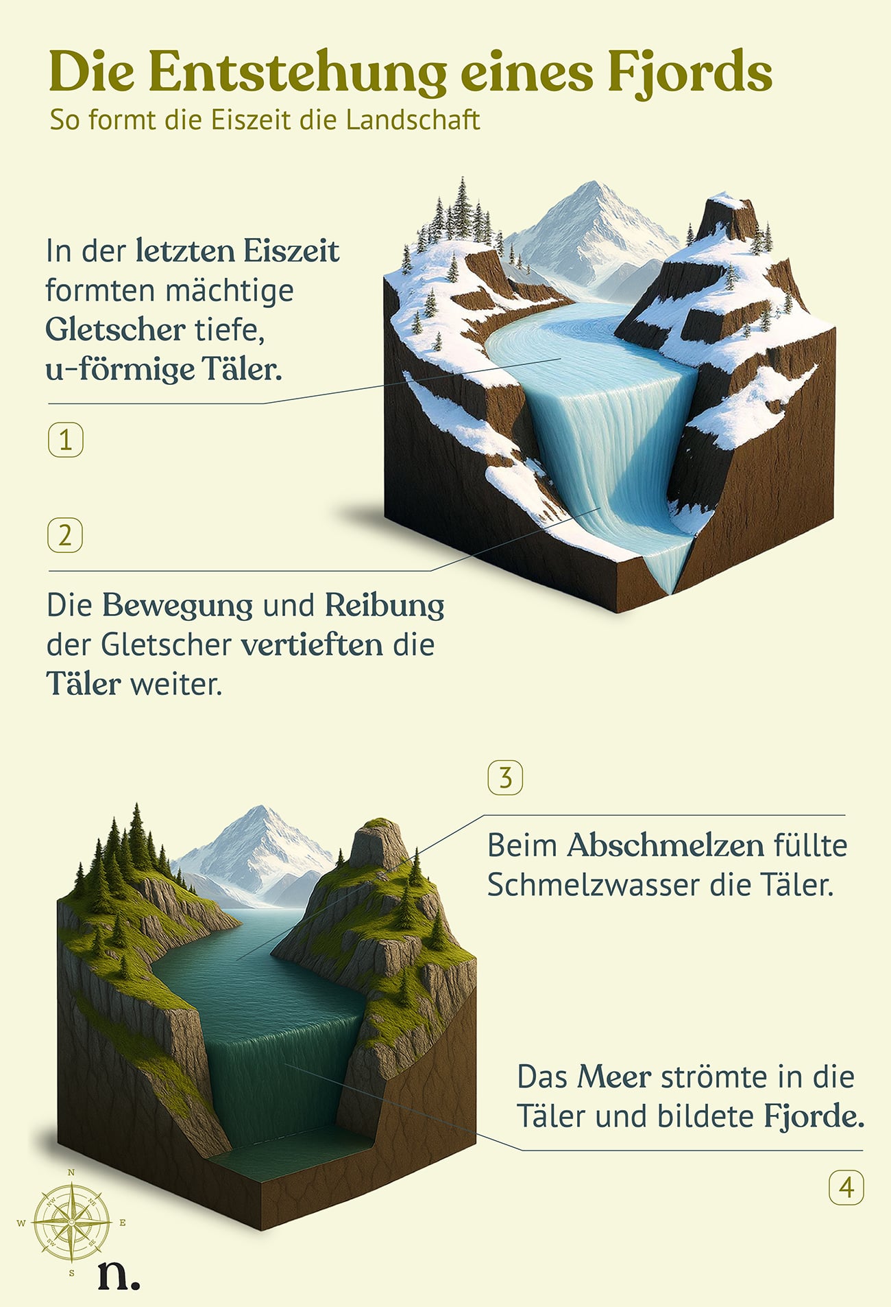 Hochformat-Infografik zur Entstehung eines Fjords durch Gletscher während der Eiszeit.