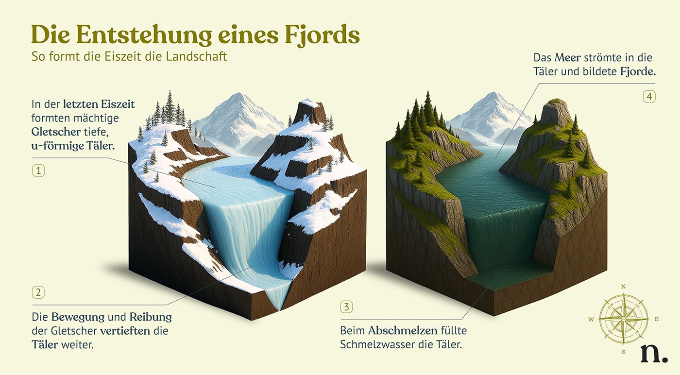 Infografik zur Entstehung eines Fjords durch Gletscher während der Eiszeit