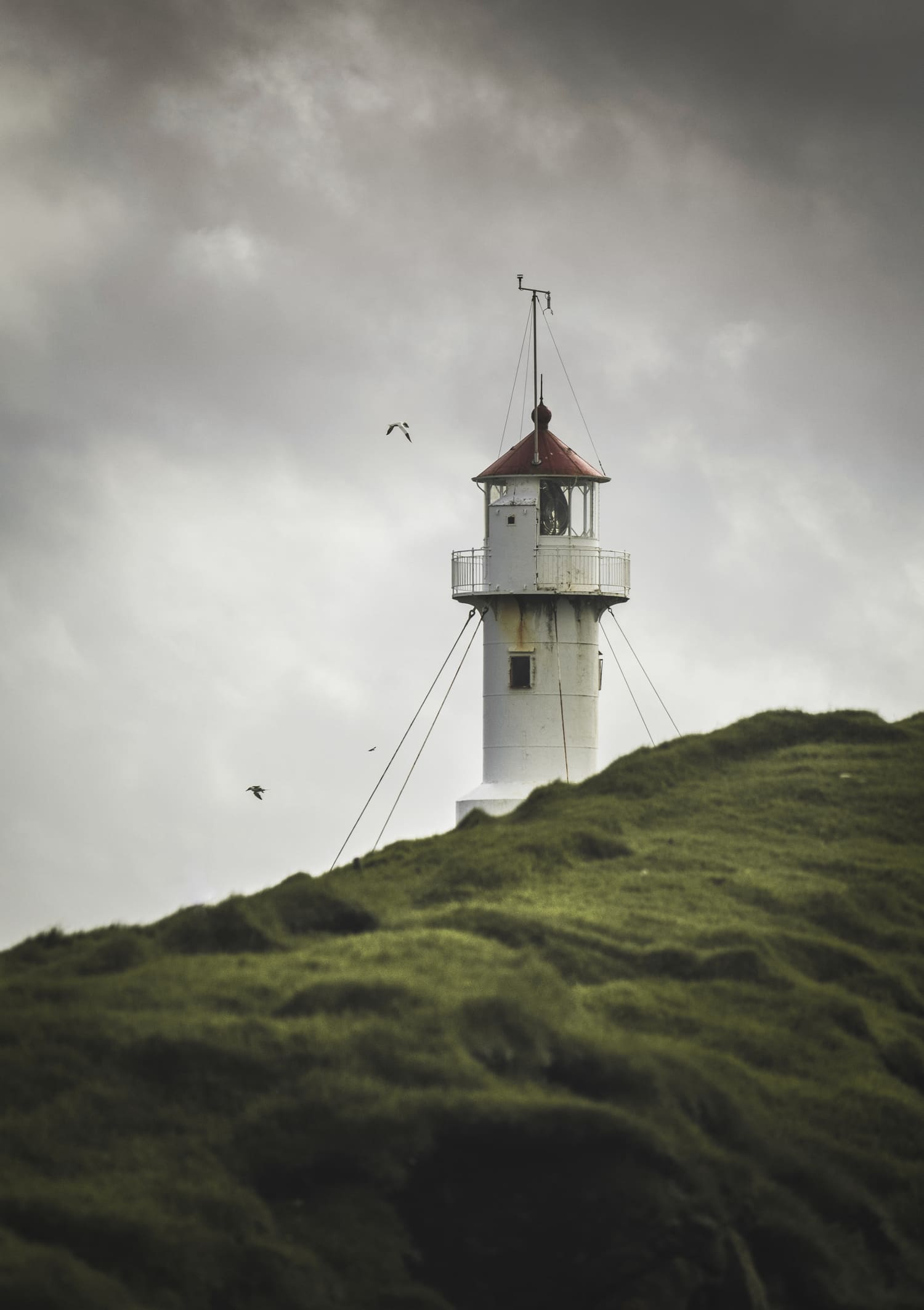Leuchtturm von Mykines auf Mykineshólmur hoch über dem Nordatlantik