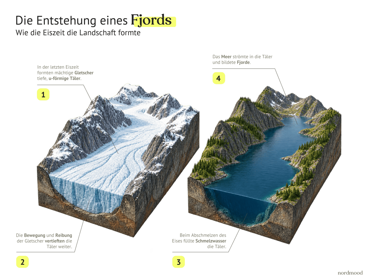 Infografik zur Entstehung eines Fjords: links ein Gletscher, der ein u-förmiges Tal ausschleift, rechts dasselbe Tal nach dem Abschmelzen mit Meerwasser gefüllt